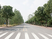 開發(fā)區(qū)環(huán)東三路道路工程